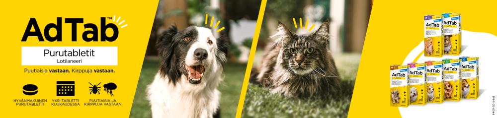 Koiran punkit ja ulkoloiset