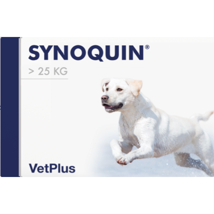 Synoquin EFA Large tabl 30 kpl-13