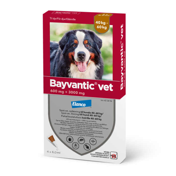 BAYVANTIC VET 600/3000 mg 4 kpl paikallisvaleluliuos koirille 40–60 kg-13
