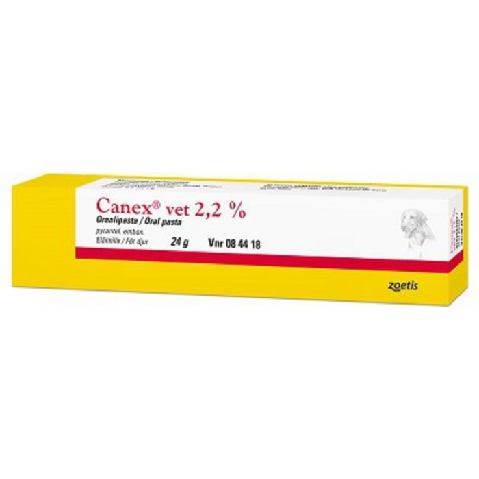 CANEX VET 2.2 % 24 g oraalipasta-13