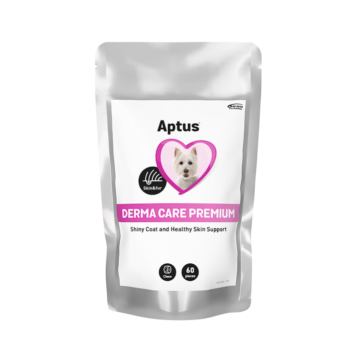 Aptus Derma Care Premium purutabletti 60 kpl-13