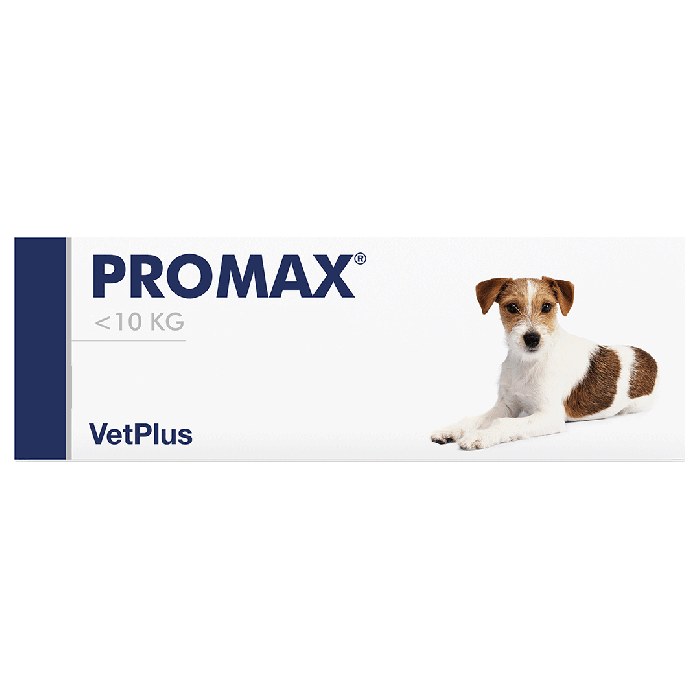 Promax 9 ml oraalipasta-13