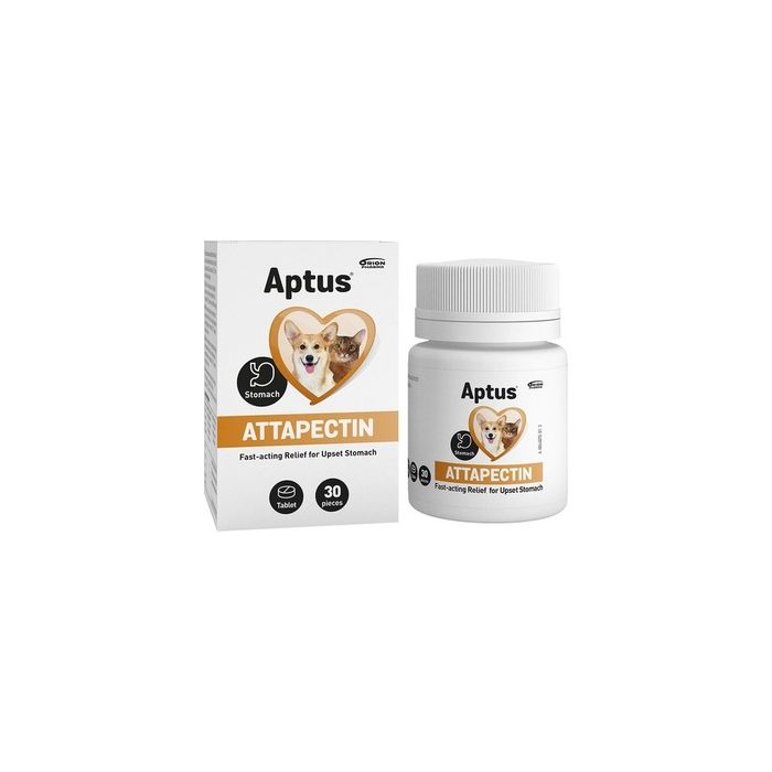 Aptus Attapectin 30 tabl-13