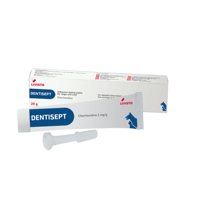 Dentisept hammasgeeli 20 g-13