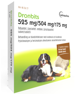 Dronbits 525 mg / 504 mg / 175 mg 2 tabletti