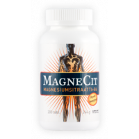 Magnecit 200 tabl magnesiumsitraatti + b6-vitamiini