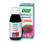 Echinacea & mustaselja hot drink 100 ml kuumajuoma
