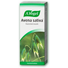 Avena Sativa 50 ml kauranversouute