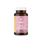 Puhdistamo Pharma B12-vitamiini 100 tabl  + Folaatti