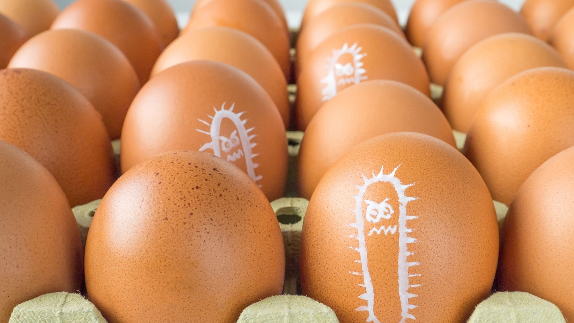 Kananmunia, joissa karikatyyrisesti piirrettyjä salmonellabakteereita.